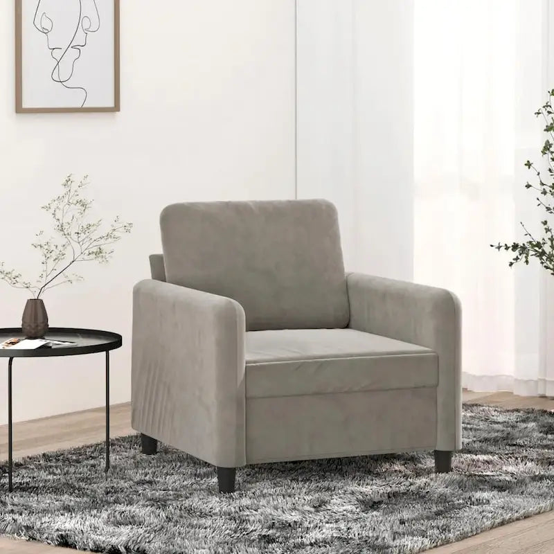 vidaXL Sofa Chair Living Room Accent Upholstered Chair with Armrest Velvet